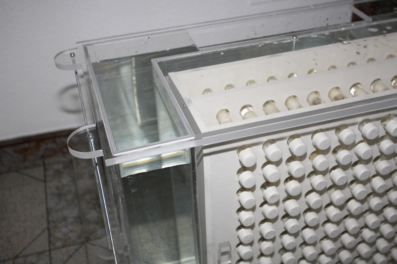 acuario para controlar la humedad