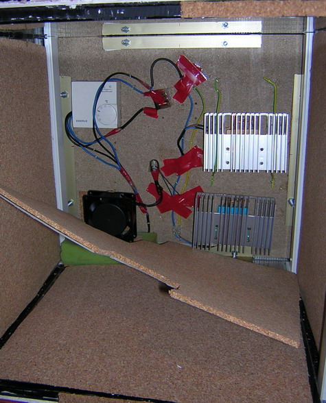 organizador6