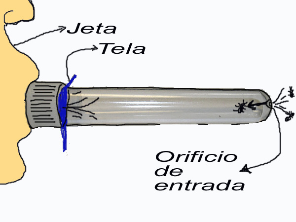 Como funciona
