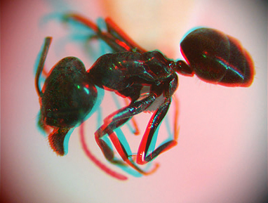 cata02