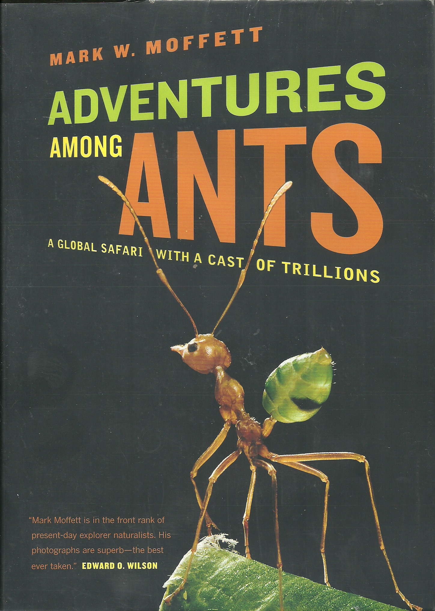 Portada libro Mark W. Moffet (2010) Adventures among Ants. A global safari with a cast of trillions