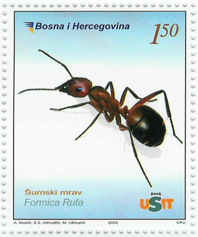 Sello de Formica rufa de Bosnia-Hercegovina (sello individual)
