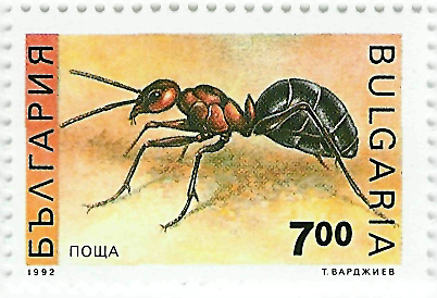 Sello de hormiga de Bulgaria (Serie de 2 himenpteros, 1992)