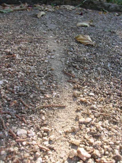 Camino2