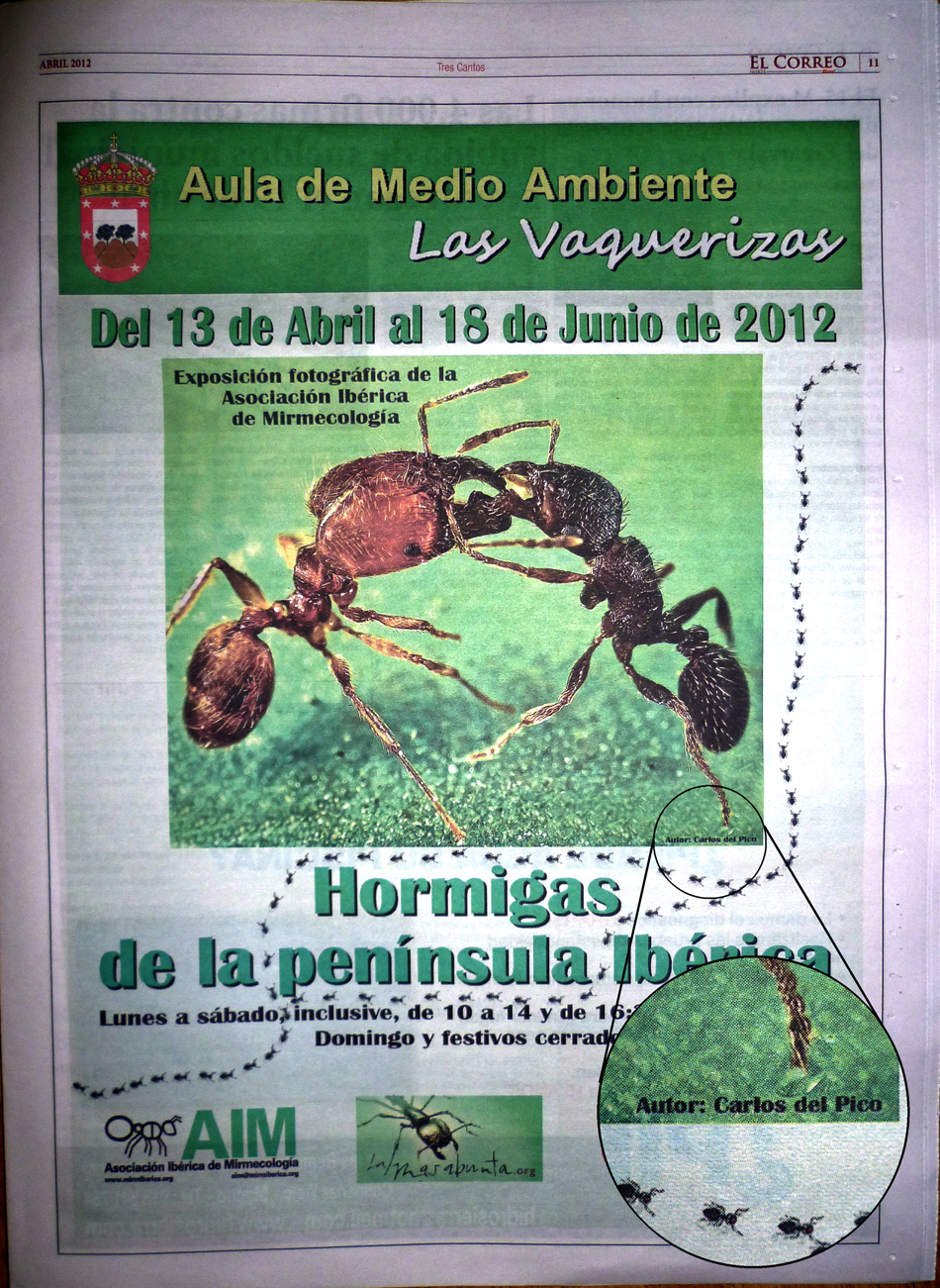 Cartel Expo Tres Cantos en Prensa