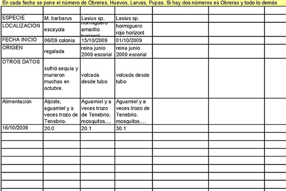 diario mendelius 16-10  4