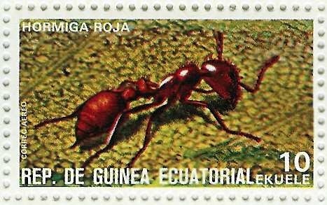 Sello de hormiga roja de Guinea Ecuatorial (Serie de 16 insectos)