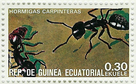 Sello de hormigas carpinteras de Guinea Ecuatorial (Serie de 16 sellos de insectos)