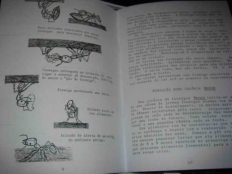 librito portugues