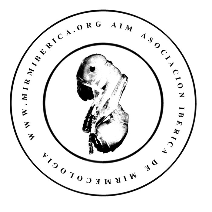 Logo para la AIM