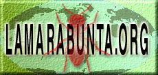 LogoLAMARABUNTA.ORG_8