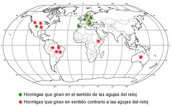 Mapa hormigas giratorias