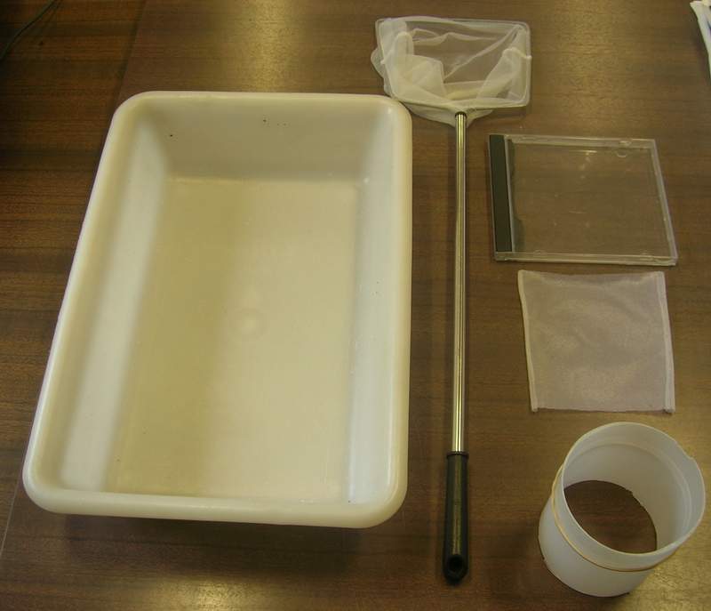 Meso03