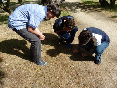 P1020851.JPG