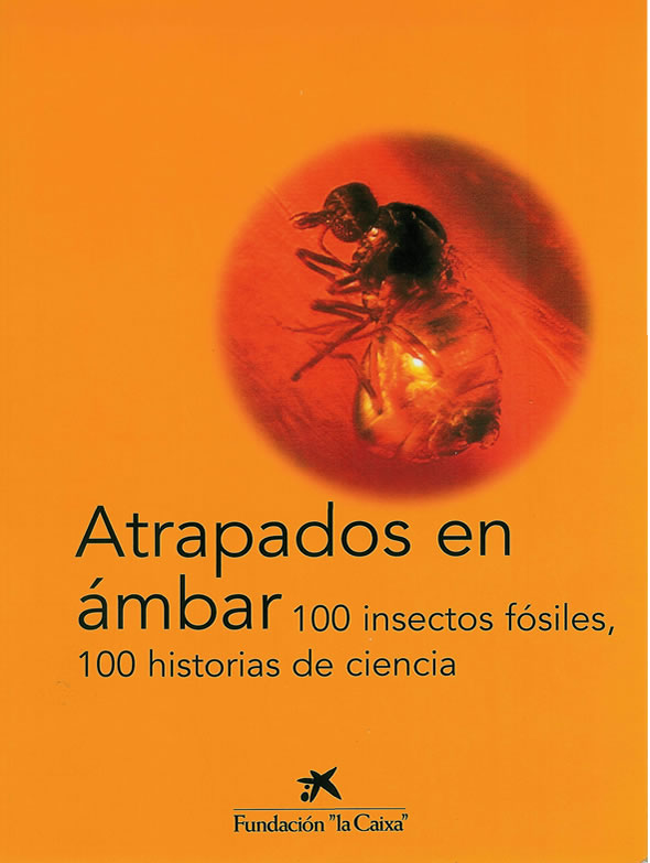 Portada librito "Atrapados en ?mbar" Fundaci?n "laCaixa"