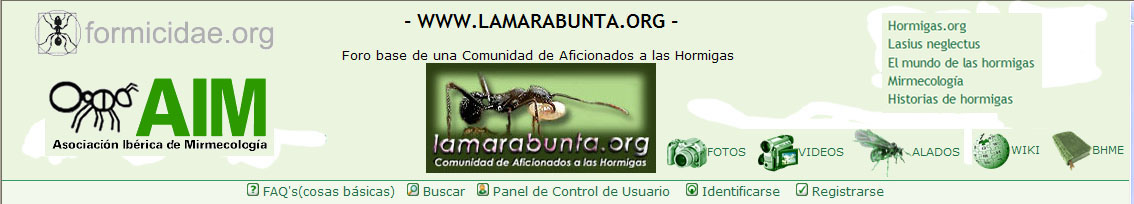 Propuesta portada