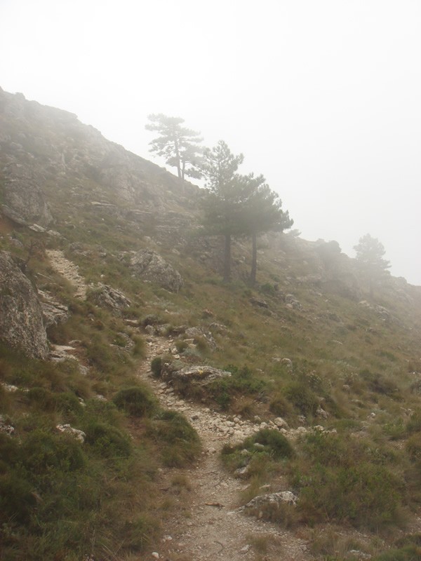 Serra del Card? (Baix Camp, Catalunya). Subiendo 2. 29.09.2007