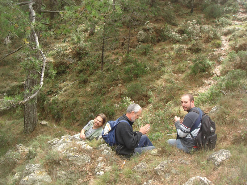 Serra del Card? (Baix Camp, Catalunya). Subiendo 4. 29.09.2007