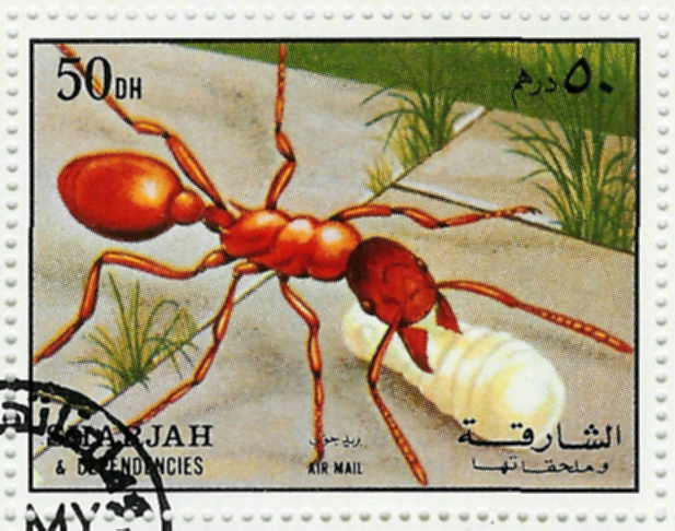 Sello de hormiga del Emirato rabe de Sharjah (Serie de 6 sellos de insectos)
