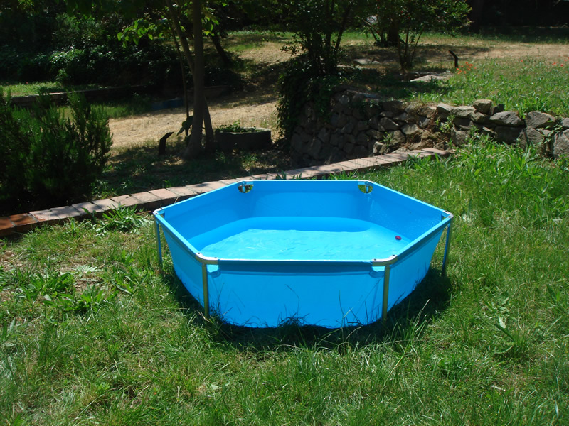 Piscina para cazar hormigas aladas. Sot de la Masia, Montju?c. 7 de junio de 2007