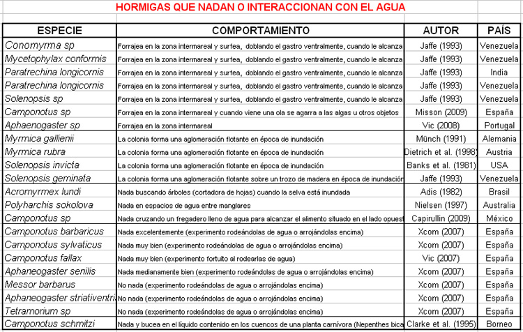 Tabla hormigas nadadoras2
