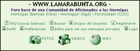 Tutorial Fotos - Imagen 01