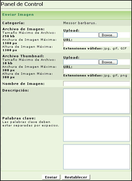 Tutorial Fotos - Imagen 07