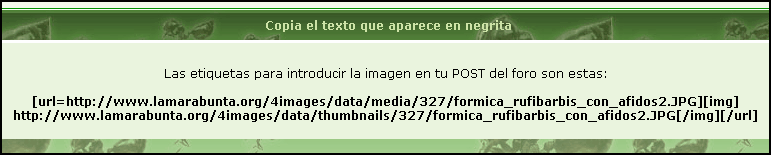 Tutorial Fotos - Imagen 12