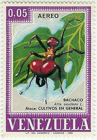 Sello de Atta sexdens L. de Venezuela (Serie de 3 sellos de insectos)
