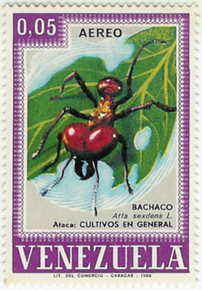 Sello de Atta sexdens L. de Venezuela (Serie de 3 sellos de insectos de 1968)