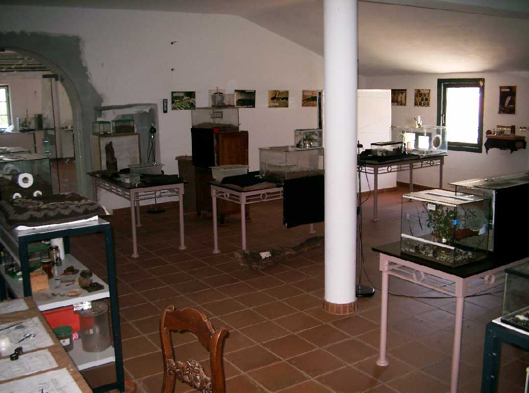 Vista general del museu Cappas Insectozoo