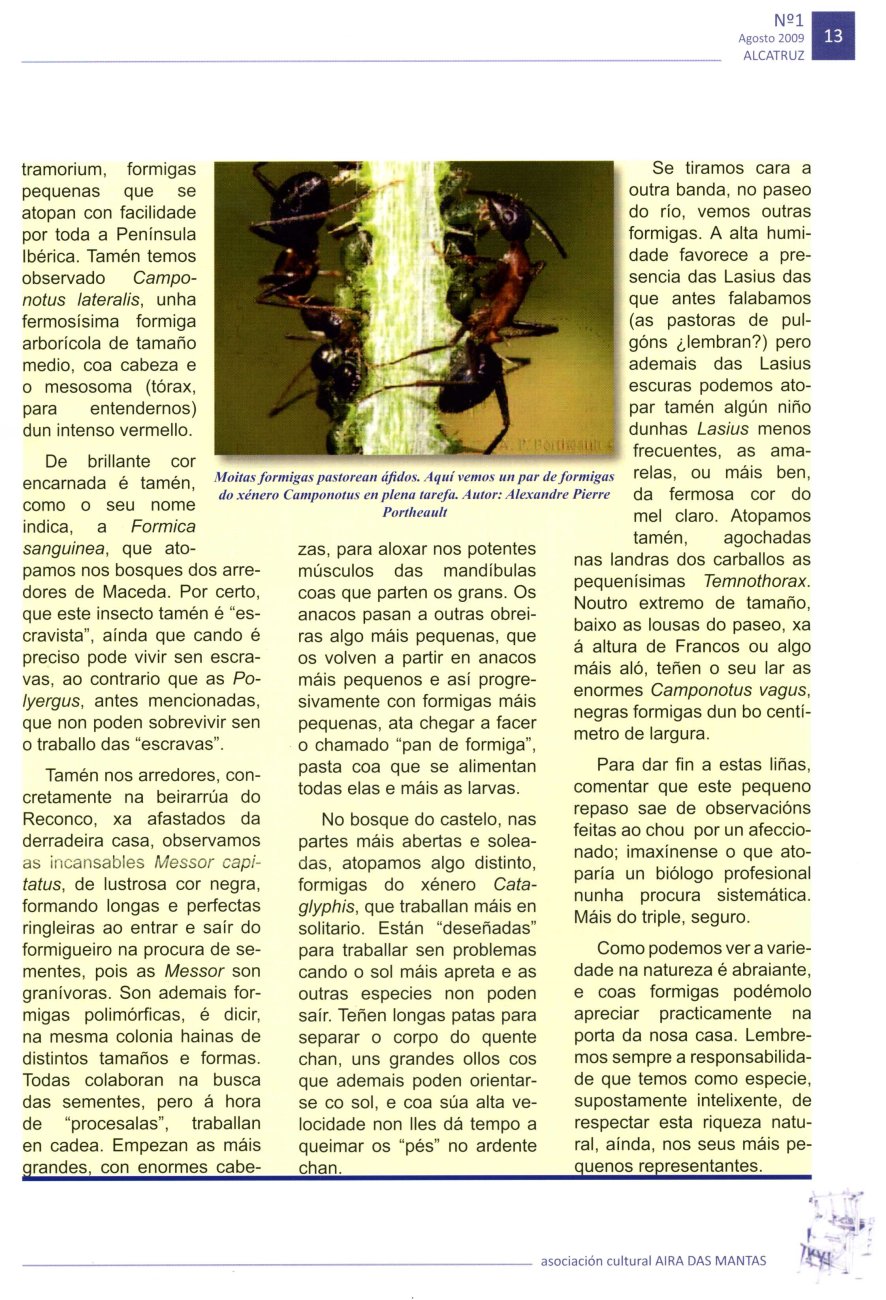 Revista Alcatruz 2