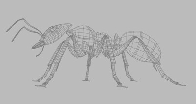 3D Ants 003