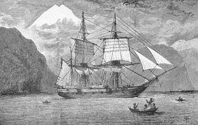 Beagle3