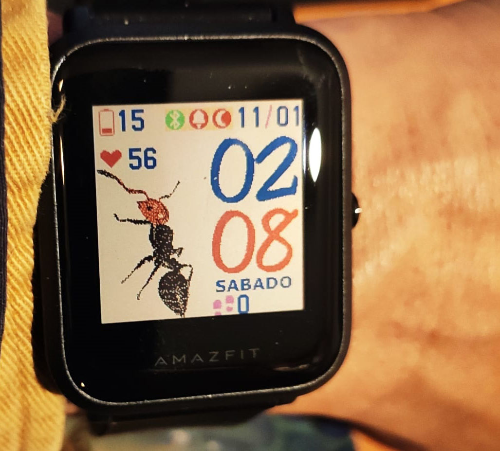 esfera reloj