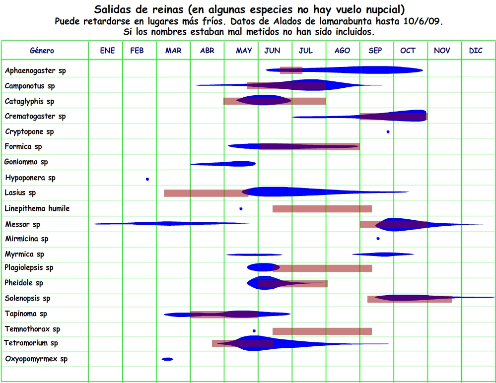 grafico fechas salidas reinas datos de lamarabunta y fichas de cria