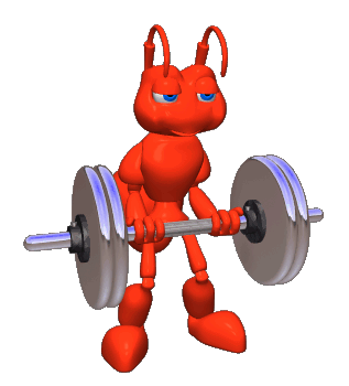 haciendo musculos