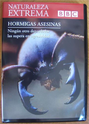 dvd-1