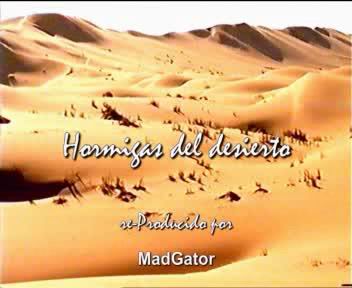 hormigas del desierto(MadGator).