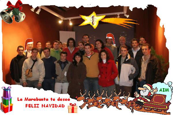 Felicitaci�n AIM-Lamarabunta Navidad y A�o Nuevo 2007
