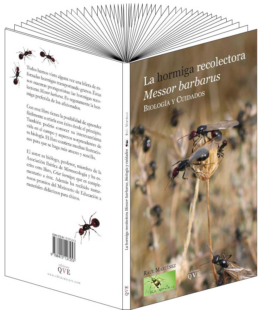 libro messor abierto