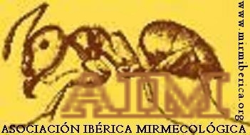 logo AIM