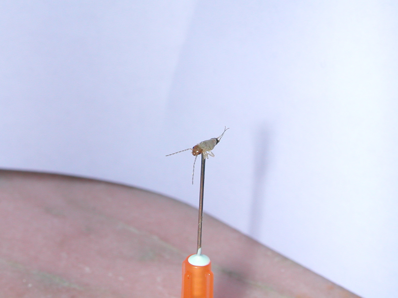 macro para comparar con la siguiente