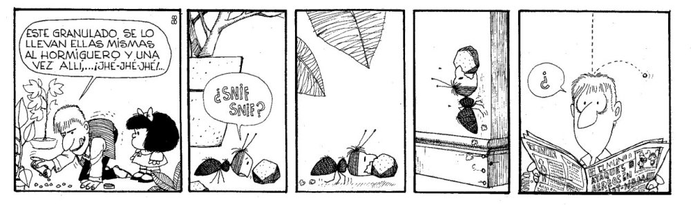 Mafalda y las hormigas 06