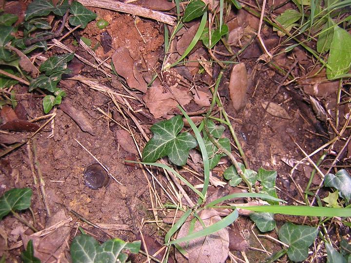 Trampas de ca�da.