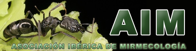 Logo - Mirmecologia