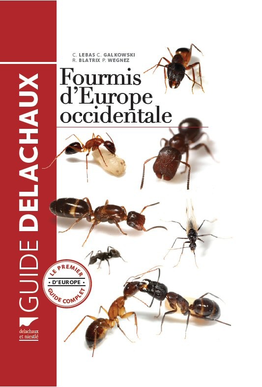 guide-delachaux-fourmis-europe-lebas