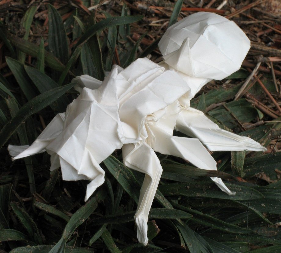 papiroformica