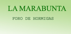 el primer logo que tuvo el foro