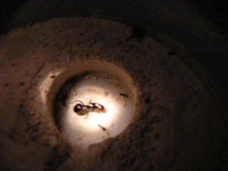 foto tomada del video
